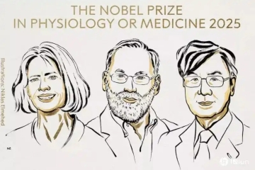 2025年诺贝尔生理学或医学奖揭晓